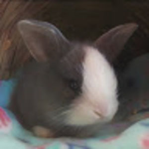 Meet your Posher, Zaneya